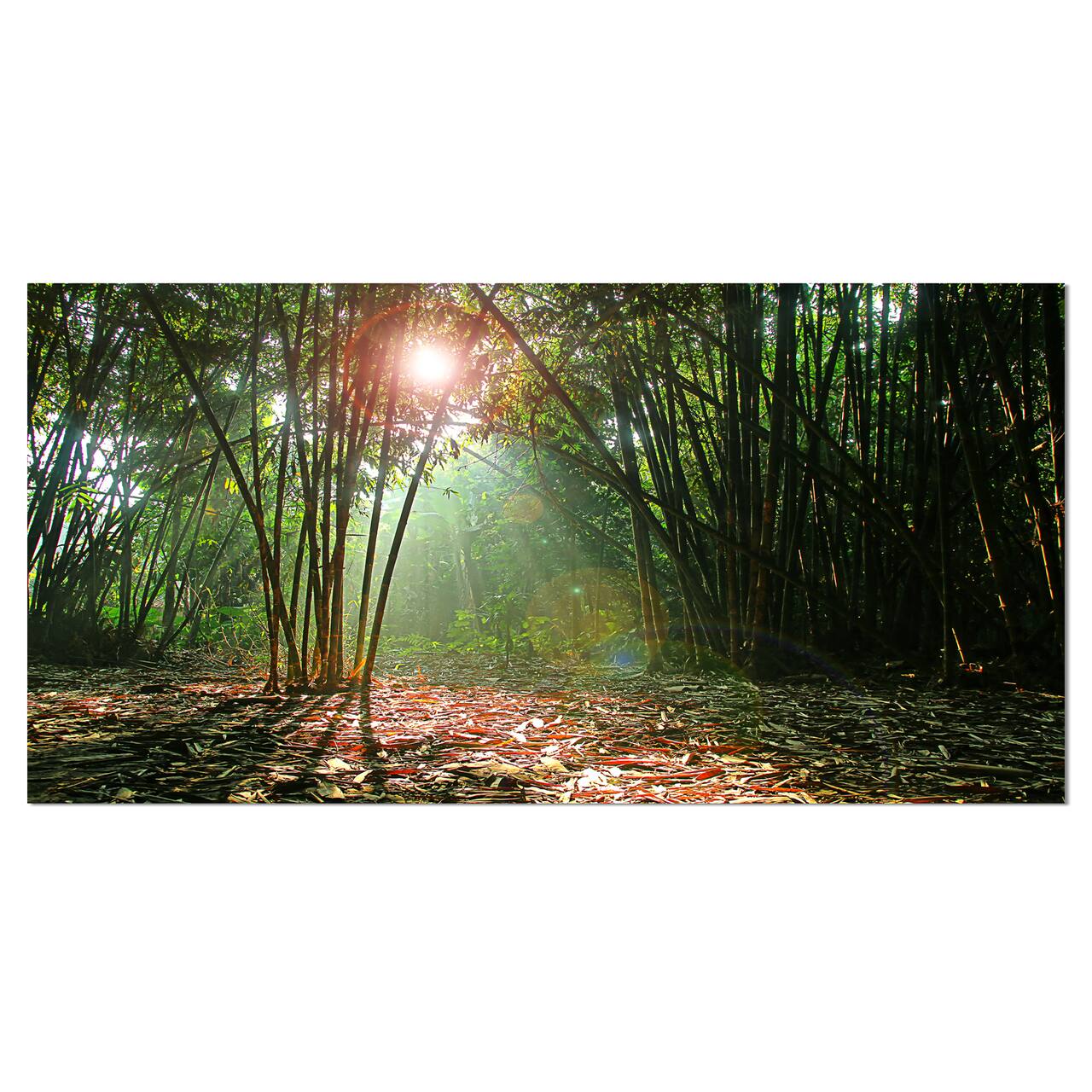 Designart - Amazing Green Forest at Sunset - Landscape Canvas Art Print